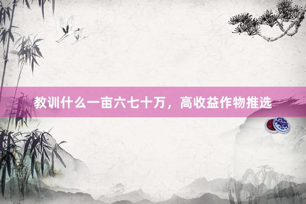 教训什么一亩六七十万，高收益作物推选